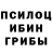 Псилоцибиновые грибы Psilocybine cubensis Retro Farb